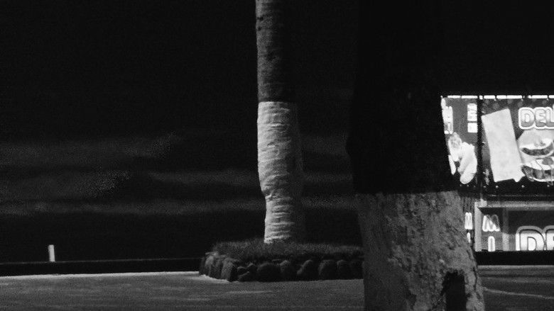 кадр из фильма Eu Sonho com Uma Noite Tropical na Bela América do Sul