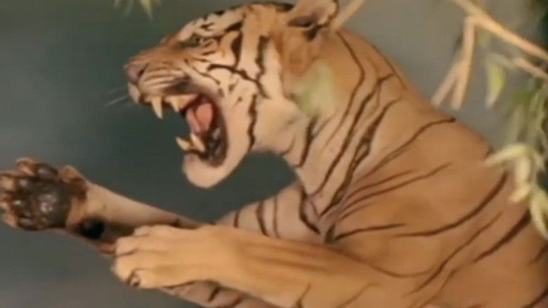 кадр из фильма El tiempo y la memoria