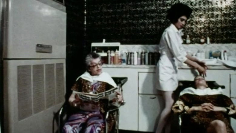 кадр из фильма While the Cat's Away...