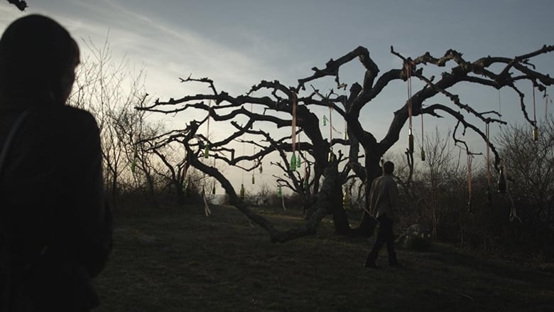 кадр из фильма The Last Treasure Hunt