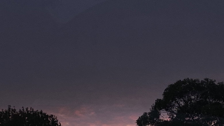 кадр из фильма Frame by Frame