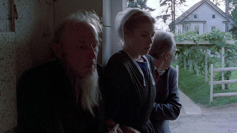 кадр из фильма Свидетель