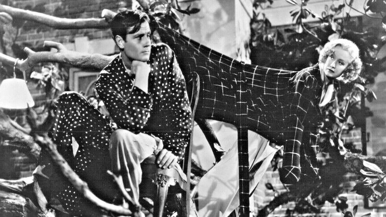 кадр из фильма Woman Chases Man