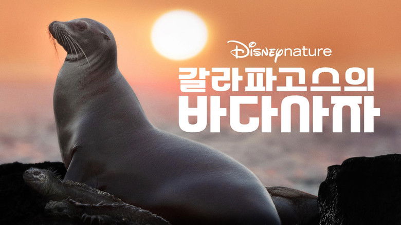 кадр из фильма Sea Lions of the Galapagos
