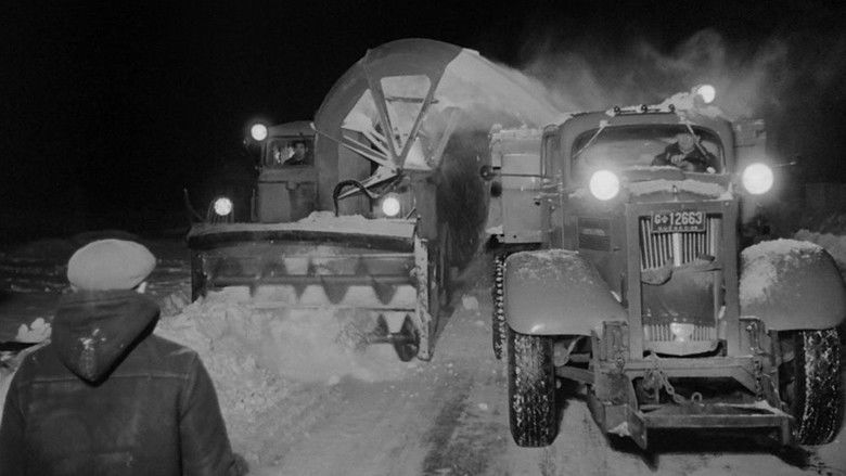 кадр из фильма Snow Fighters