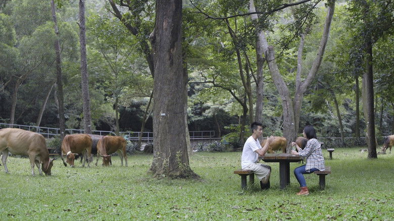 кадр из фильма 守牛人