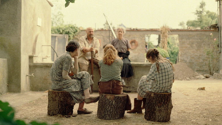 кадр из фильма Amen