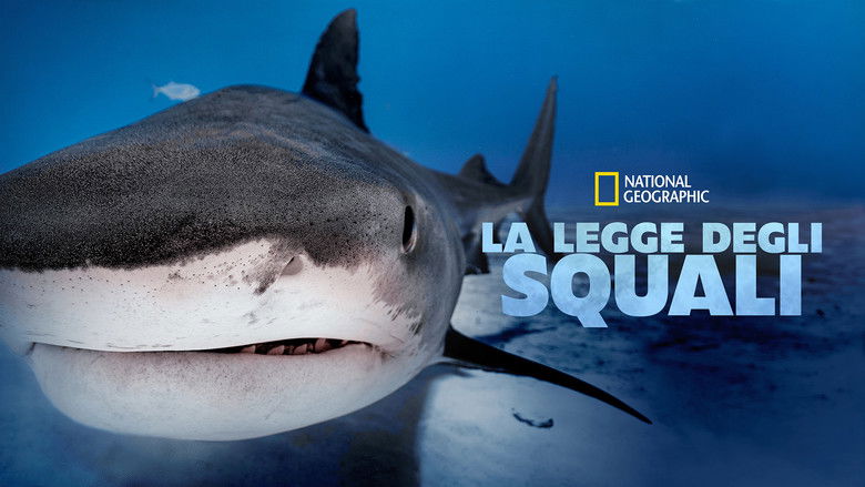 кадр из фильма Царство больших акул