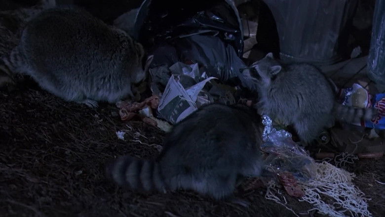 кадр из фильма На лоне природы