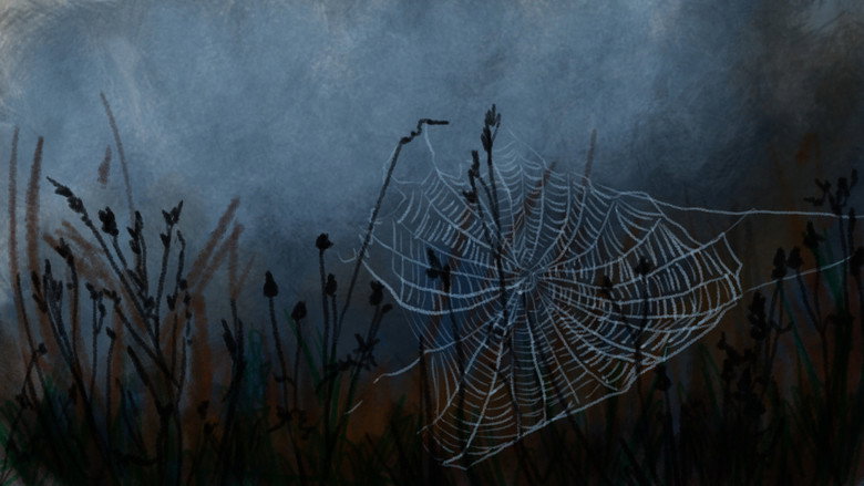 кадр из фильма Did I Achieve My Goal?