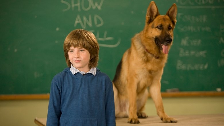 кадр из фильма Великолепный пёс