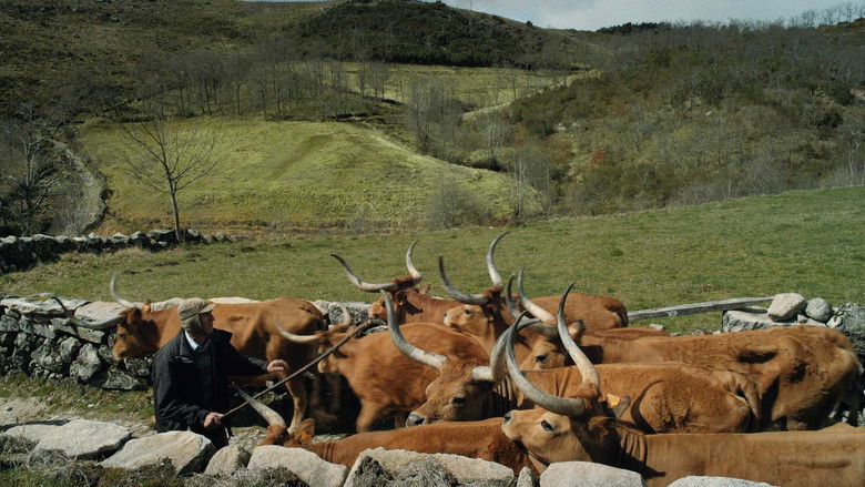 кадр из фильма Volta à Terra