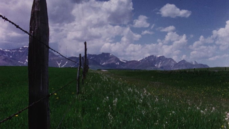 кадр из фильма Concerto for Water, Sun and Wilderness