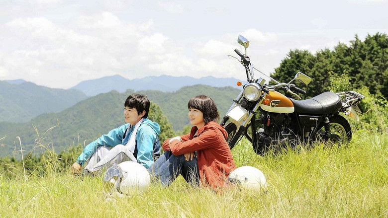 кадр из фильма Работа с древесиной!