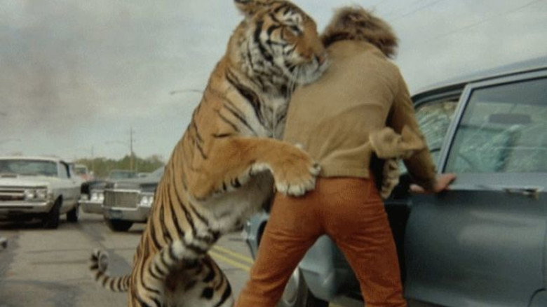 кадр из фильма The Beasts Are on the Streets