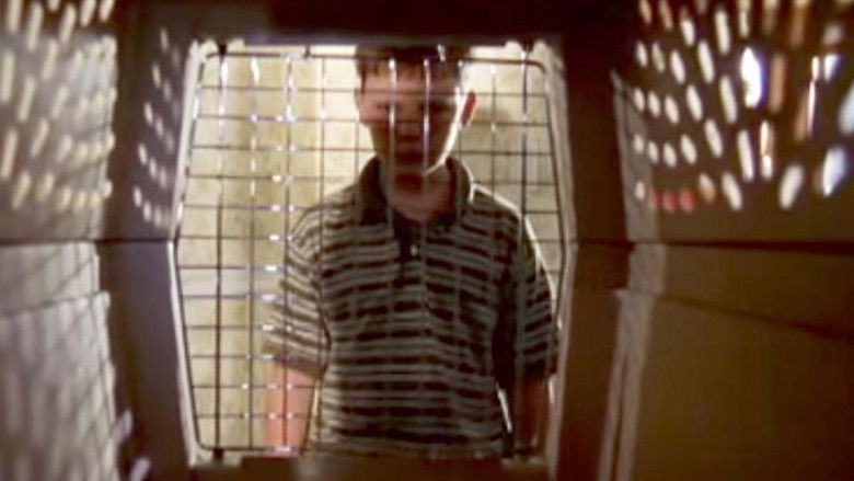 кадр из фильма The Invisible Dog