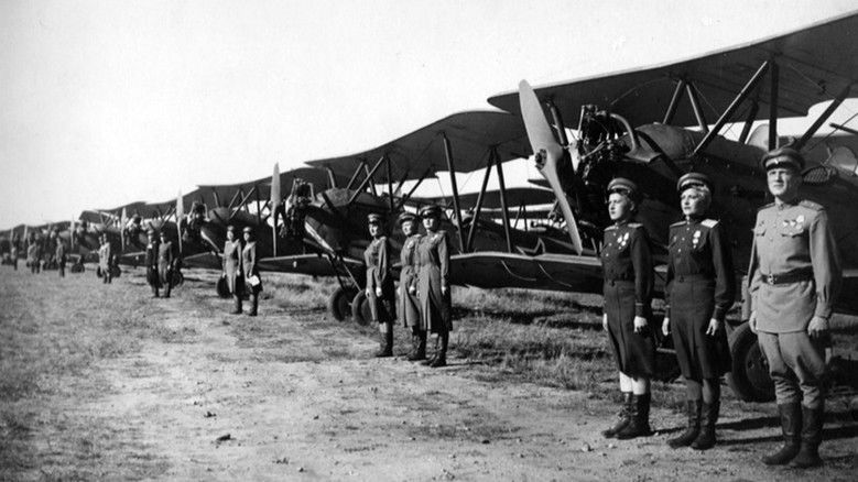 кадр из фильма Небесный тихоход