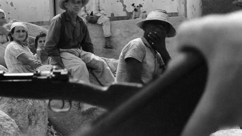 кадр из фильма Ружья