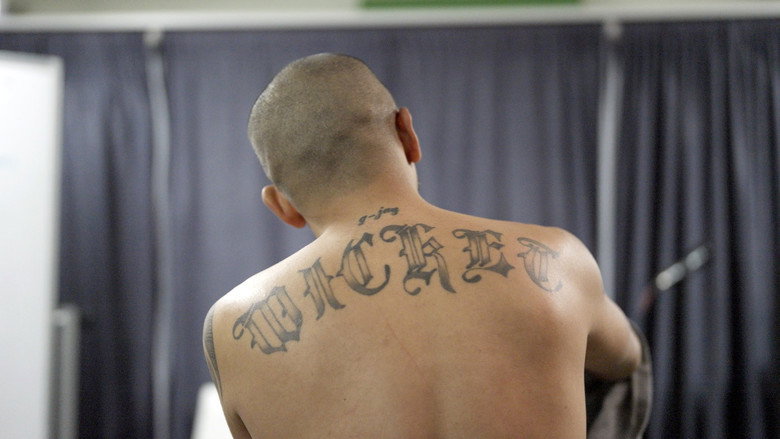 кадр из фильма WICKET