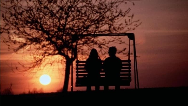 кадр из фильма Helden wie wir