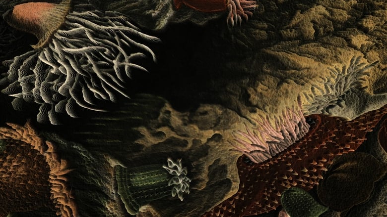 кадр из фильма Homenaje a la obra de Philip Henry Gosse