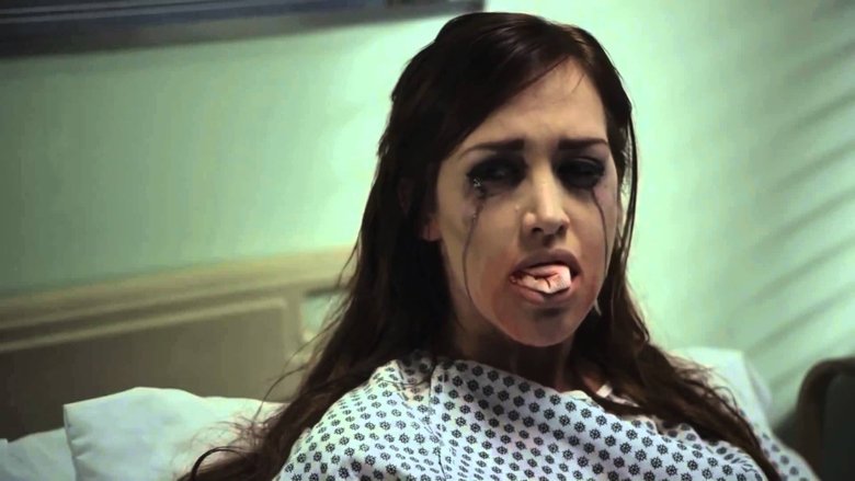 Тихий приют