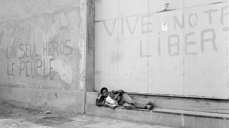 кадр из фильма Résistantes