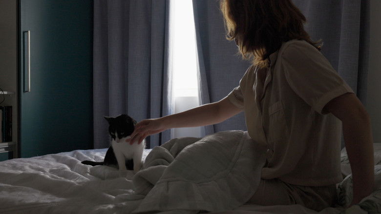 кадр из фильма O Baú