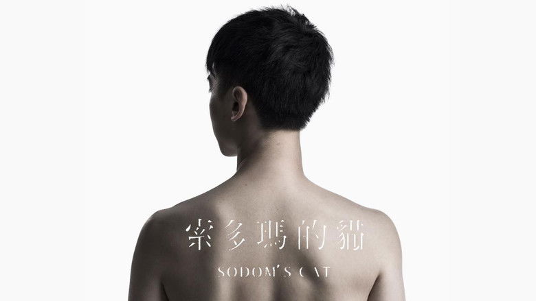 кадр из фильма 索多瑪的貓