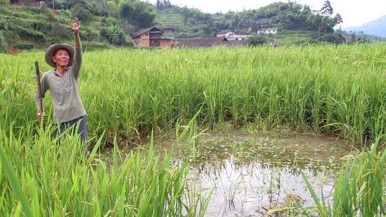 кадр из фильма 天降