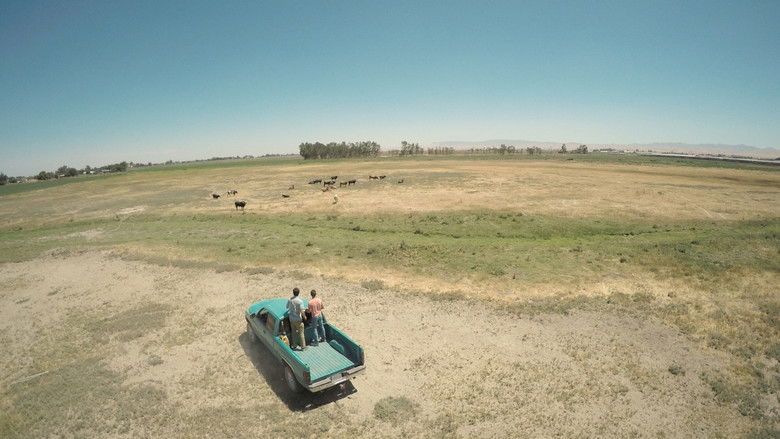 кадр из фильма Bull Jumping