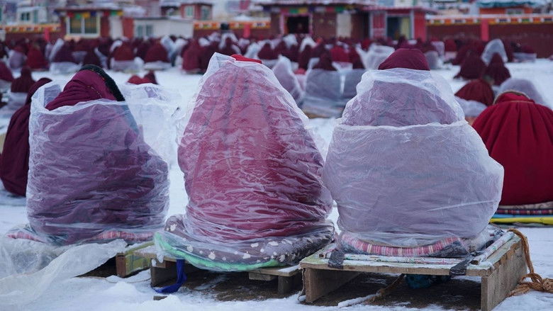 кадр из фильма Dark Red Forest
