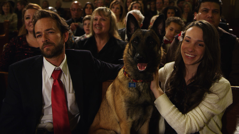 К-9: Рождественские приключения