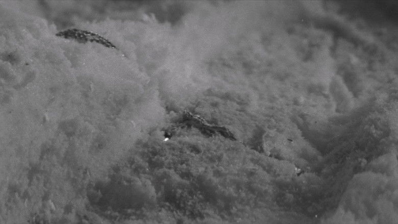 кадр из фильма Бойцовская элегия