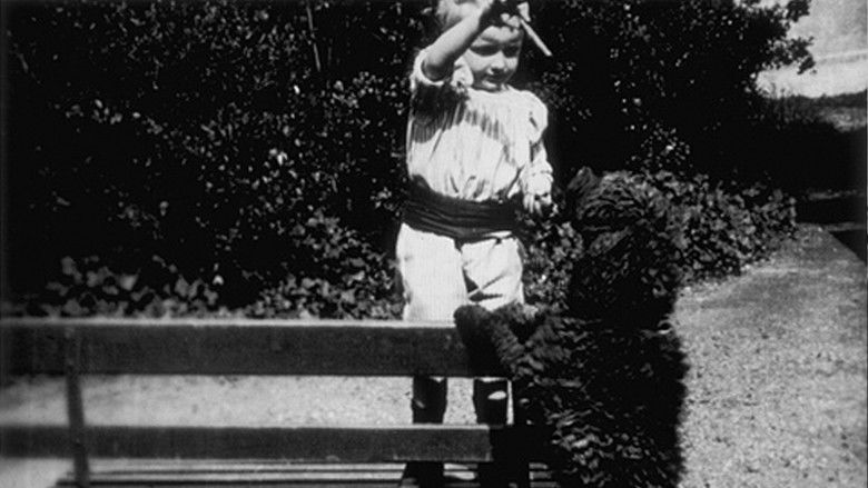 кадр из фильма Enfant et chien