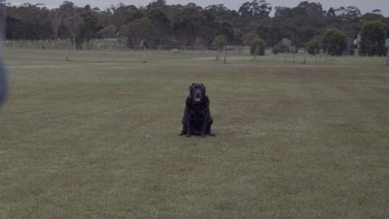 кадр из фильма Mutt