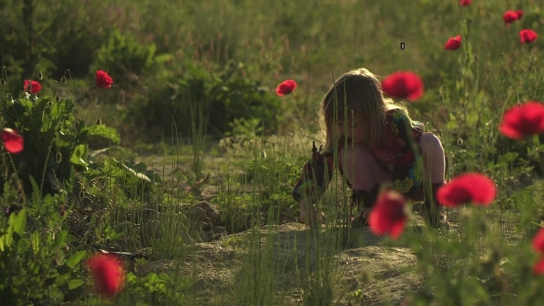 кадр из фильма Mama Europa