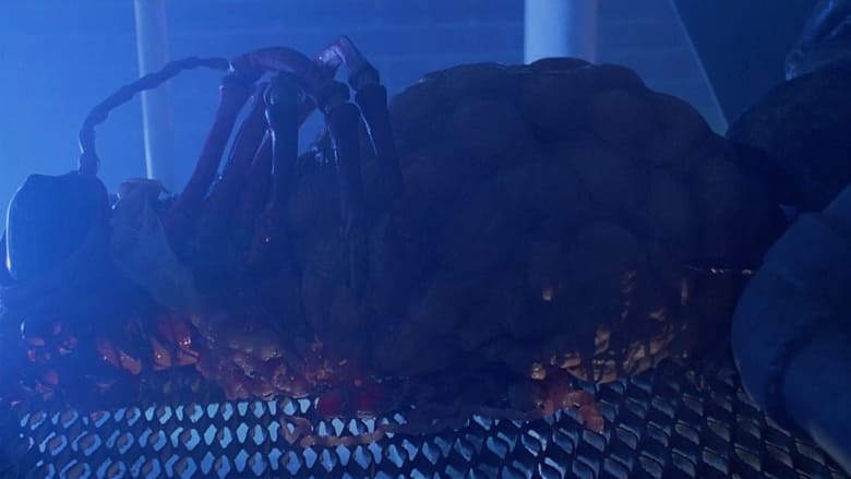 кадр из фильма Голубая обезьяна