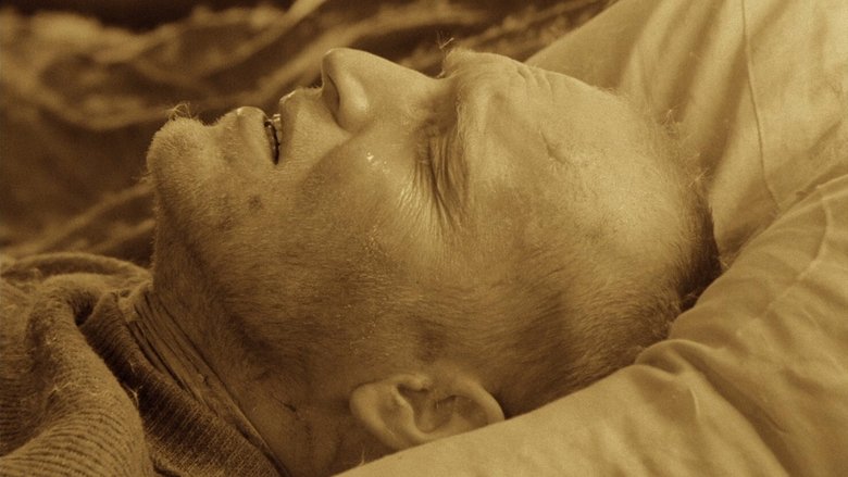 кадр из фильма Сталкер