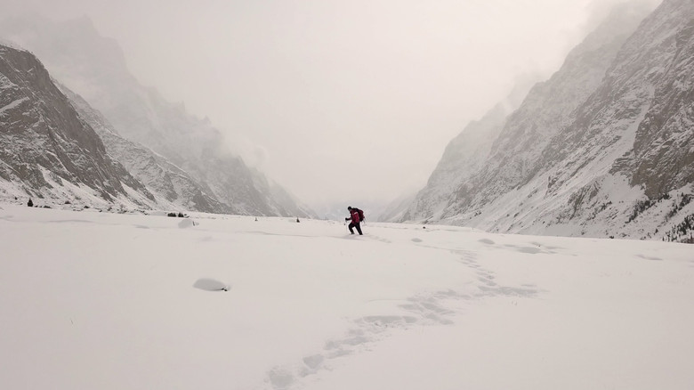кадр из фильма Beyond the Wetlands