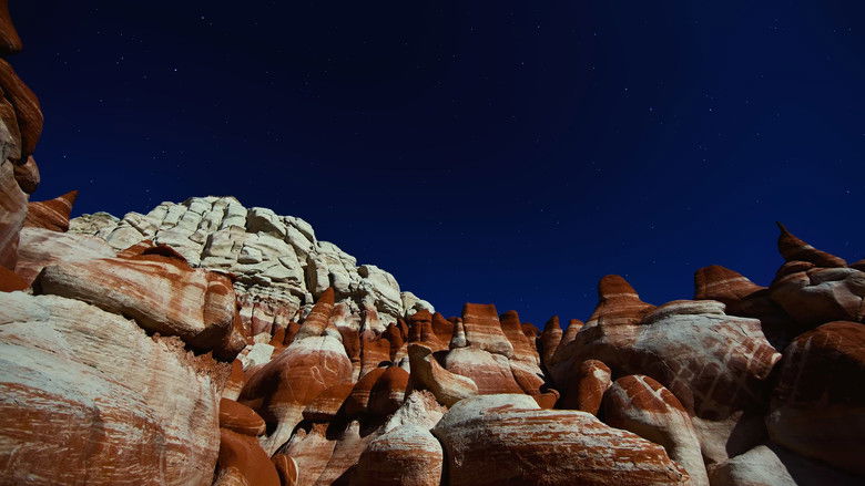 кадр из фильма Пейзажи времени