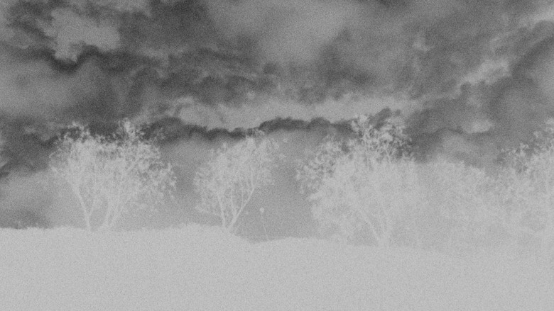 кадр из фильма In Die Sonne Blicken