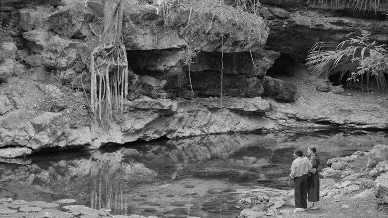 кадр из фильма Cosmos