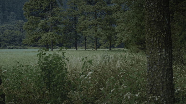 кадр из фильма Para atrapar el viento