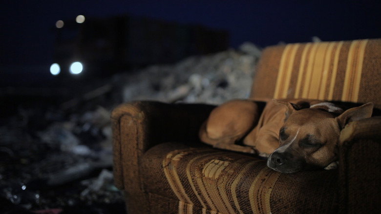 кадр из фильма Призори из живота џукца