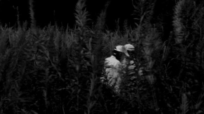 кадр из фильма pb