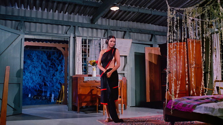 кадр из фильма Истина, любовь и красота