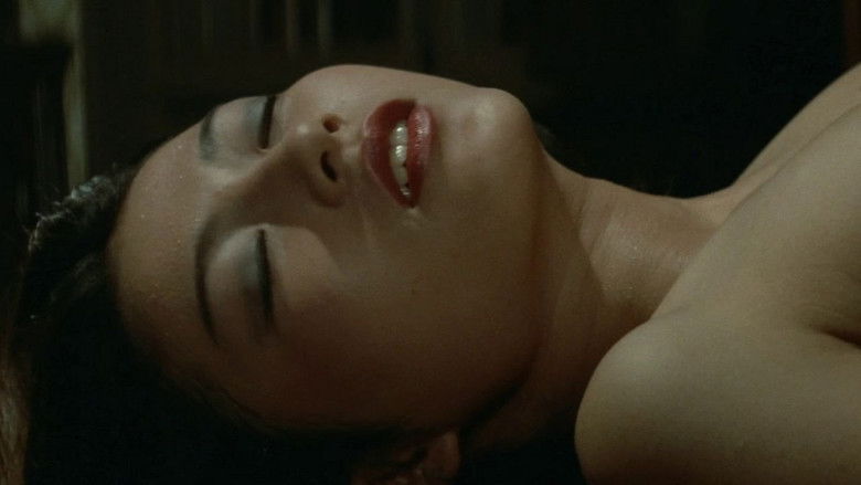 кадр из фильма 華麗なる追跡