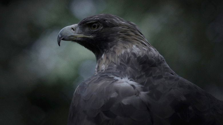 кадр из фильма Le météore