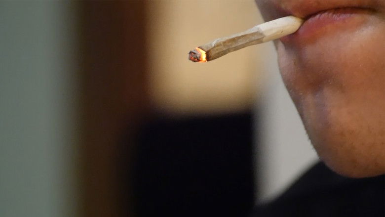 кадр из фильма Smokin Granny